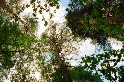 photo 689c6f2df177a_thumb.jpg