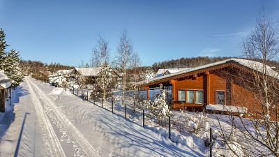 photo 69807cda04c0b_thumb.jpg