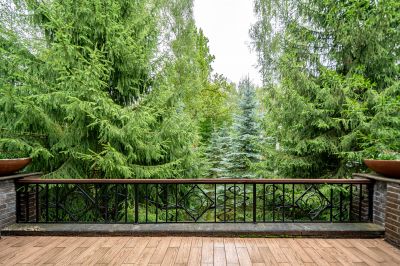 photo 689360fecfeac_thumb.jpg