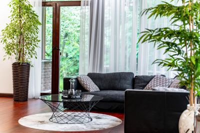 photo 6893616c7a3d1_thumb.jpg