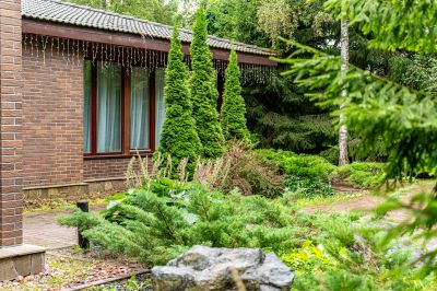 photo 6893617cd6b7f_thumb.jpg