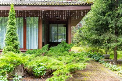 photo 6893618f9f7c0_thumb.jpg