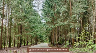 photo 68922d1c21b92_thumb.jpg