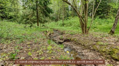 photo 68922d1cd6498_thumb.jpg