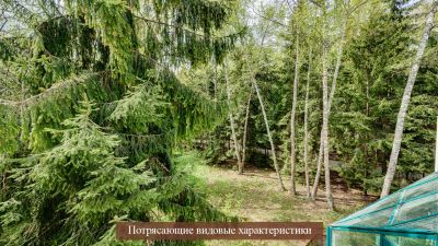 photo 68922d1d963fc_thumb.jpg