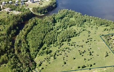 photo 689233e806ab7_thumb.jpg