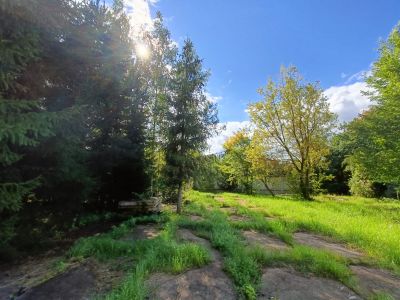 photo 68a89a039bf24_thumb.jpg