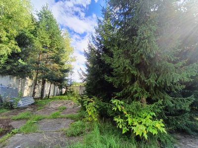 photo 68a89a047c7a4_thumb.jpg