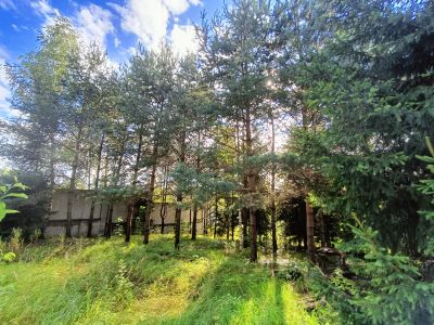 photo 68a89a055e144_thumb.jpg