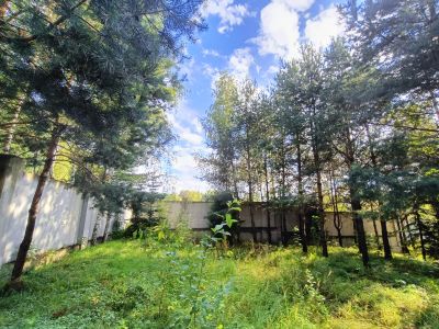 photo 68a89a0641817_thumb.jpg