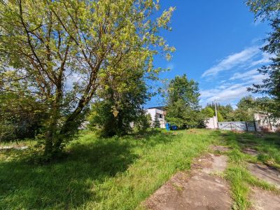 photo 68a89a07278e8_thumb.jpg