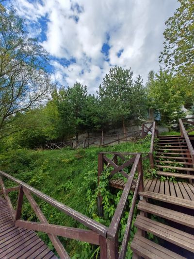 photo 68a89a52675c6_thumb.jpg