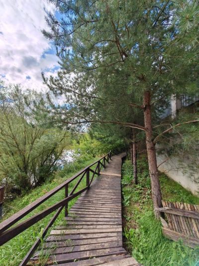 photo 68a89a53c93e5_thumb.jpg