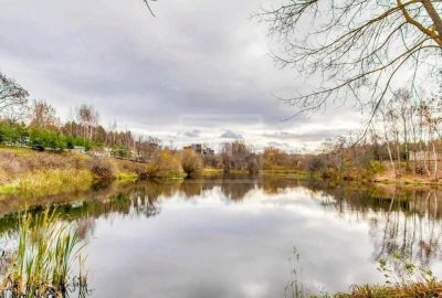 photo 68c28cb786098_thumb.jpg