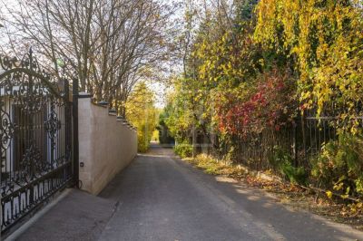 photo 68c28cb7e1b4d_thumb.jpg