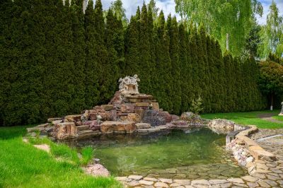 photo 6895d6f2c4b9e_thumb.jpg