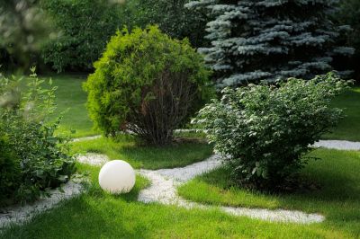 photo 689c28ad9392b_thumb.jpg