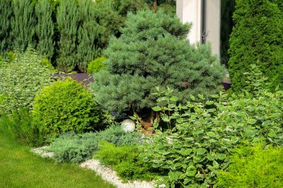 photo 689c28aeafc24_thumb.jpg