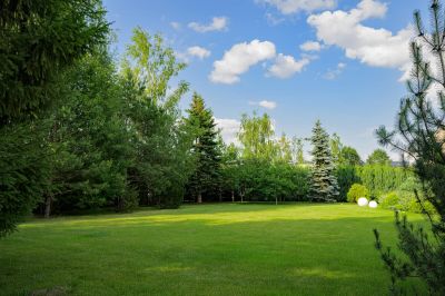 photo 689c28b024c98_thumb.jpg