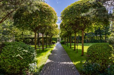 photo 689c439f09ccc_thumb.jpg