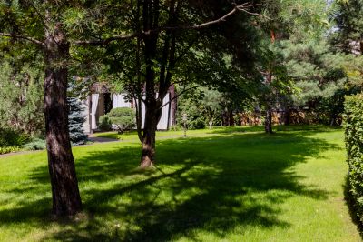 photo 689c4486953c4_thumb.jpg