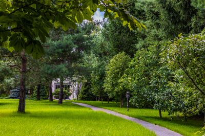 photo 689c4487417dd_thumb.jpg