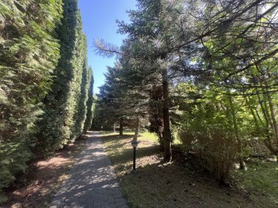 photo 12198_6837119865e6c_thumb.jpg