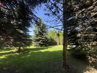 photo 12198_6837119aa5041_thumb.jpg