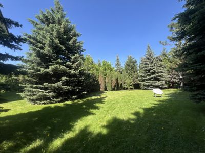 photo 12198_6837119cde009_thumb.jpg