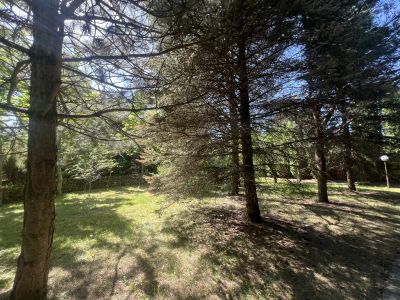 photo 12198_683711e3899b2_thumb.jpg