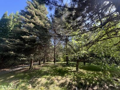 photo 12198_683711e5d2969_thumb.jpg