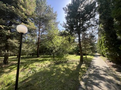 photo 12198_683711ea77048_thumb.jpg