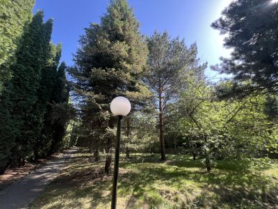 photo 12199_6837134e08265_thumb.jpg