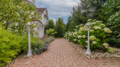 photo 689dbccb2f1ff_thumb.jpg