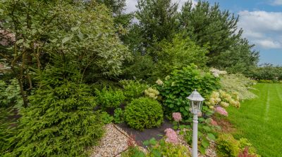 photo 689dbd1e7cdf2_thumb.jpg