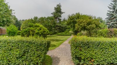 photo 689dbf148e28c_thumb.jpg