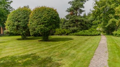 photo 689dbf16dbf15_thumb.jpg