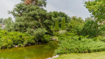 photo 689dbf198887b_thumb.jpg