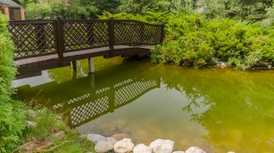 photo 689dbf3019d34_thumb.jpg