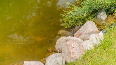 photo 689dbf3318b3f_thumb.jpg