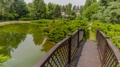 photo 689dbf38dcb66_thumb.jpg