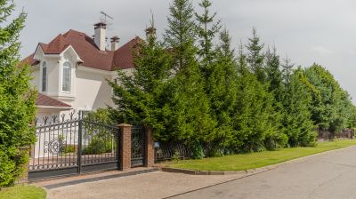 photo 689dbf96ac8f1_thumb.jpg