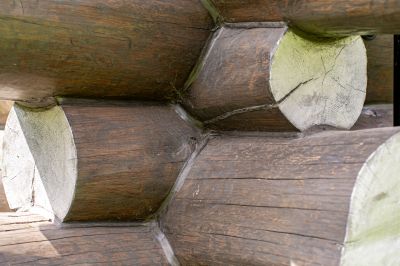 photo 12209_6890cf48ca0c0_thumb.jpg