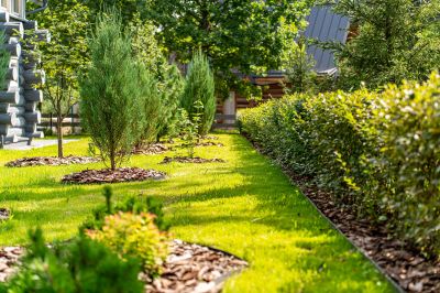 photo 12209_6890cfe8d583c_thumb.jpg