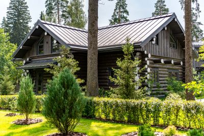 photo 12209_6890cfeb7d706_thumb.jpg