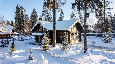 photo 698990b519115_thumb.jpg