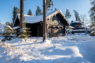 photo 698990ca3d52d_thumb.jpg