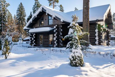 photo 698990cc8044b_thumb.jpg