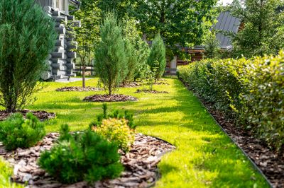 photo 12210_6890d19552969_thumb.jpg