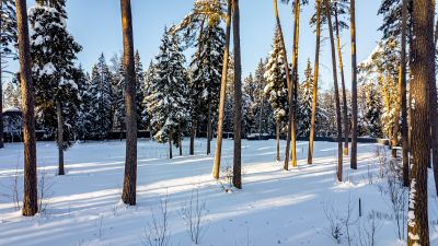 photo 69899497a6c61_thumb.jpg